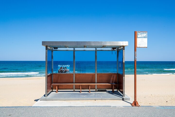 Relax at a beachside bus stop where stunning ocean views meet the promise of adventure. Experience the charm of Korea’s coast as you await your next adventure.